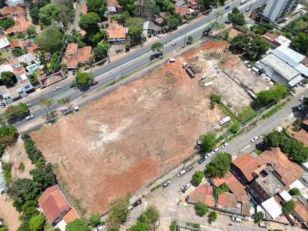 Bosque San Vicente: gabinete de Nenecho justifica deforestación y ataca a vecinos - Nacionales - ABC Color