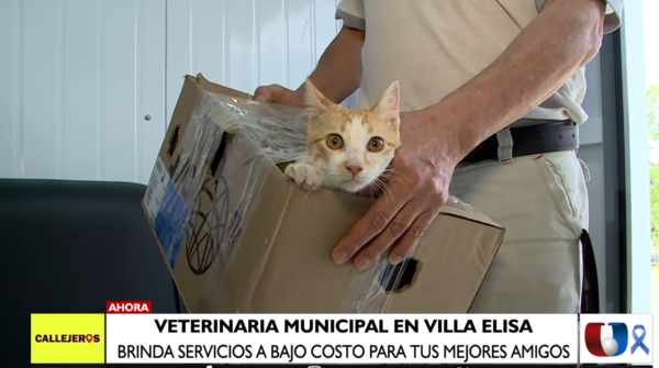 Clínica Veterinaria Municipal ofrece servicios a bajo costo - Unicanal