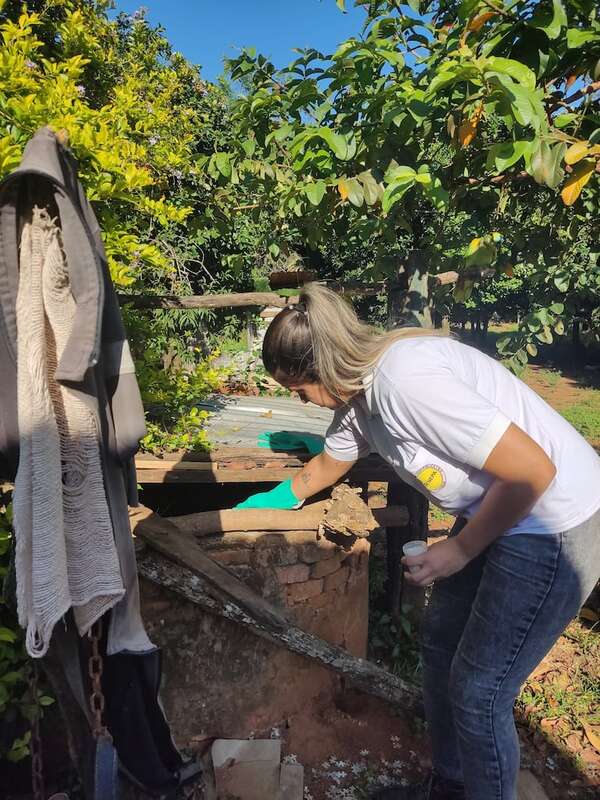 Dengue: altos porcentajes de infestación larvaria preocupan en Ayolas - Nacionales - ABC Color
