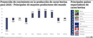 Un panorama global del mercado de la carne bovina en el Paraguay - Economía - ABC Color