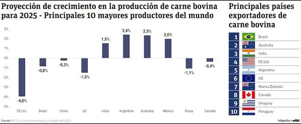 Un panorama global del mercado de la carne bovina en el Paraguay - Economía - ABC Color