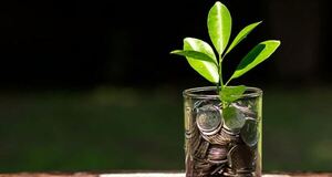Inversión Forestal Sostenible: un encuentro clave para el futuro del sector en Paraguay