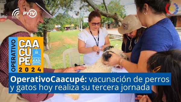 Operativo Caacupé: inició la vacunación antirrábica en la zona del recorrido • PARAGUAY TV