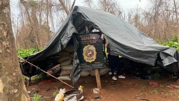 Senad incauta más de 6 toneladas de marihuana en Ybyrarobaná