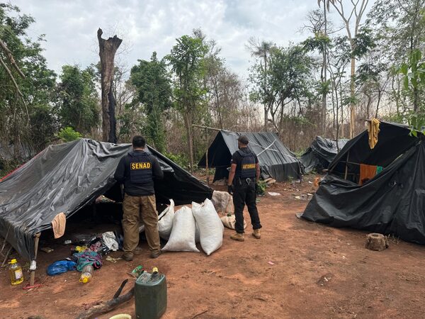 OPERATIVO CERROJO | SENAD INCAUTA 6 TONELADAS DE MARIHUANA
