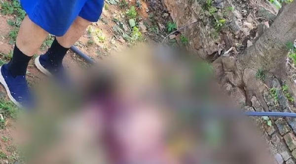 Trabajador muere mientras podaba un árbol con una amoladora
