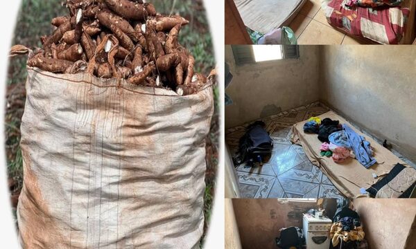 Rescatan a 26 paraguayos que trabajaban en régimen de esclavitud en Paraná, Brasil