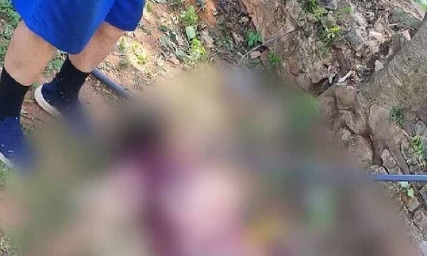Trabajador muere mientras podaba un árbol con una amoladora – Prensa 5