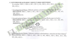 Pericia del Ministerio Público no detecta rastros de nitritos, plomo y bario en manos de “Lalo Gomes 