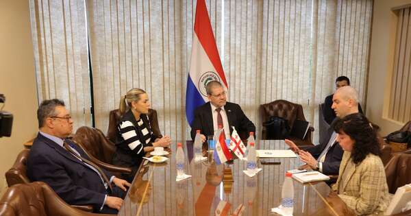 La Nación / “Podemos ser un socio leal”: Georgia está interesado en abrir mercados a Paraguay