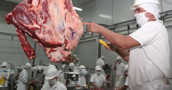 La Nación / Sector cárnico reafirma compromiso para seguir posicionando producción paraguaya en EE. UU.
