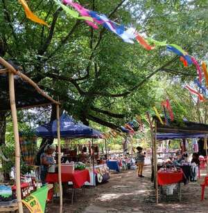Festival cultural con feria, arte y cine al aire libre - Cultura - ABC Color