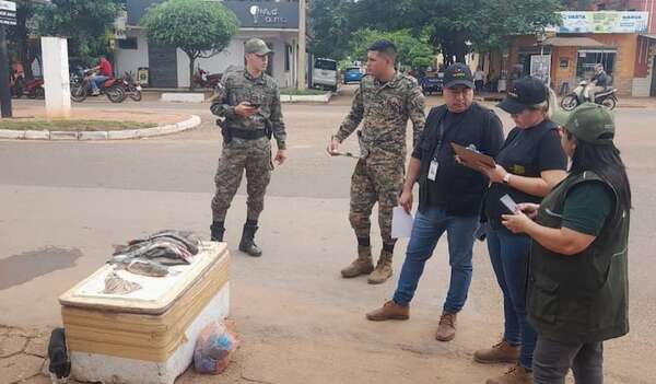 Veda pesquera: incautan unos 50 kilos de pescado en Concepción - Nacionales - ABC Color
