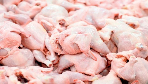 Pollo para el mundo: Sector avícola logró exportaciones por US$ 2 millones en octubre