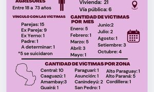 Violencia contra la Mujer: 27 víctimas de feminicidio y un total de 26 causas abiertas – Diario TNPRESS
