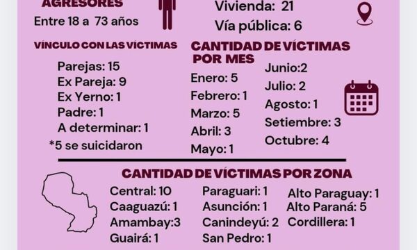 Violencia contra la Mujer: 27 víctimas de feminicidio y un total de 26 causas abiertas – Diario TNPRESS