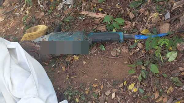Murió podando un árbol con una amoladora