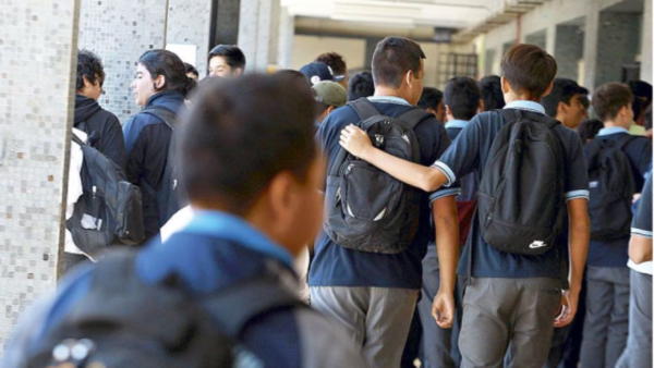 Top 10 de los compañeros infaltables en los colegios
