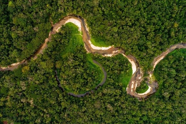 Inversión Forestal Sostenible: un encuentro clave para el futuro del sector en Paraguay con el apoyo de Sudameris | Locales | 5Días