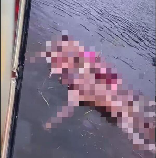 Hallan muertos a tres menores y a un adulto en el Río Paraná - 1000 Noticias