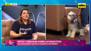 ¿Es necesario sacar a pasear a mi perro?: mitos y verdades sobre las mascotas - Ensiestados - ABC Color