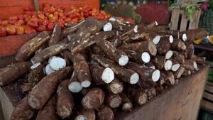 Día Nacional de la Mandioca