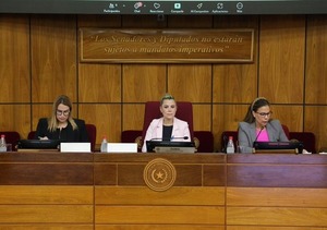 En comisión del Senado abordan proyecto que aumenta pena por abuso a menores - ADN Digital