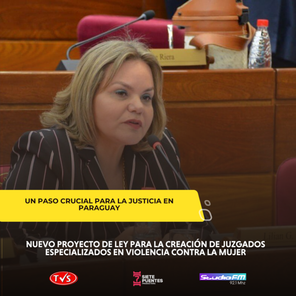 NUEVO PROYECTO DE LEY PARA LA CREACIÓN DE JUZGADOS ESPECIALIZADOS EN VIOLENCIA CONTRA LA MUJER: UN PASO CRUCIAL PARA LA JUSTICIA EN PARAGUAY - TVS