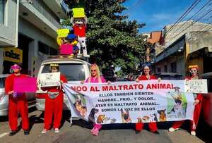 Promulgan ley que eleva a 6 años de prisión el maltrato a animales - Política - ABC Color