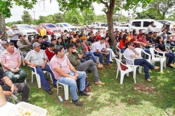 Capacitan a productores de papa y cebolla en Carapeguá para asegurar el abastecimiento nacional - Economía - ABC Color