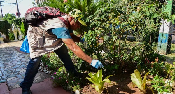Se acerca fin de año y los casos de dengue comienzan a subir