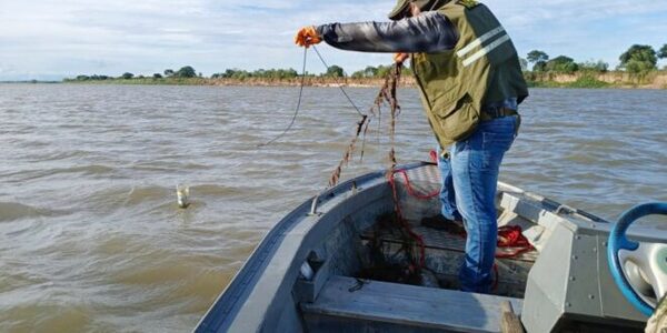 Retiran espineles y redes de ríos Paraguay y Paraná durante control de la veda pesquera