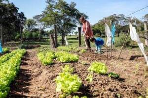 Diputado destaca apoyo a la agricultura familiar mediante seguro planteado - ADN Digital