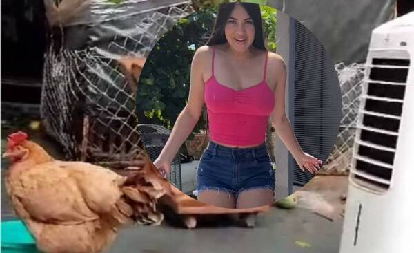 La gallina de Laurys ya empieza a ganar plata: ¿Dónde irá a parar ese dinero?