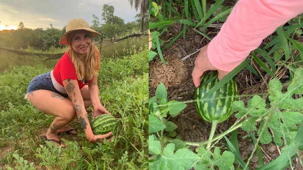 Ofreció sandías de su cosecha y recibió piropos en redes sociales