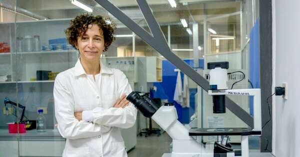 La Nación / Conacyt celebra Día del Investigador Paraguayo