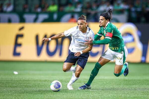 Botafogo empata y Palmeiras se acerca a cuatro puntos - Fútbol Internacional - ABC Color