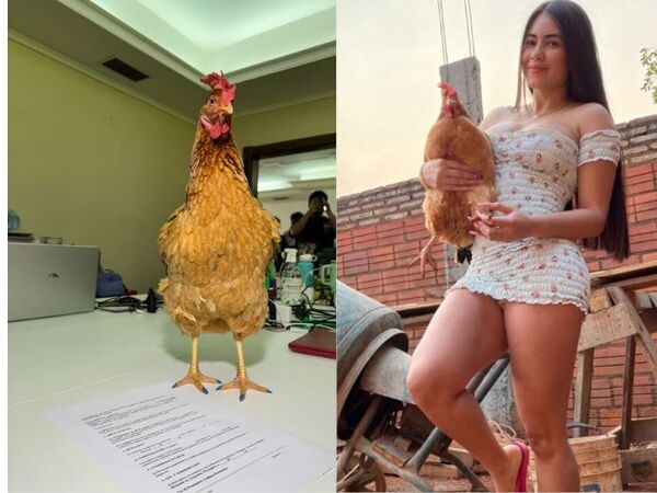¡Gallina de Laurys Diva posó con su millonario contrato!