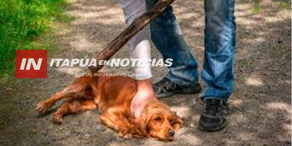 EJECUTIVO PROMULGA AUMENTO A SEIS AÑOS DE CÁRCEL PENA POR MALTRATO ANIMAL - Itapúa Noticias