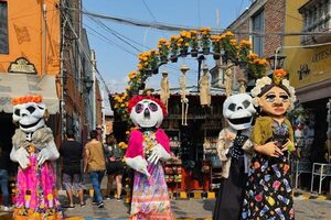 Flor de cempasúchil , biodiversidad, tradición y cultura