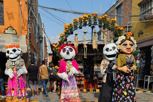 Flor de cempasúchil , biodiversidad, tradición y cultura