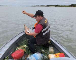 Retiran casi un kilómetro de espineles y rescatan a peces en el río Paraguay - Nacionales - ABC Color