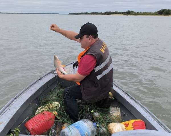 Retiran casi un kilómetro de espineles y rescatan a peces en el río Paraguay - Nacionales - ABC Color