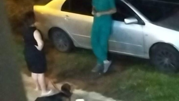 Animaleros denuncian a un veterinario mau