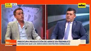 ¿Qué ocurre con la producción de arroz en Ñeembucú?: debate entre diputado y presidente de Feparroz - En Detalles - ABC Color