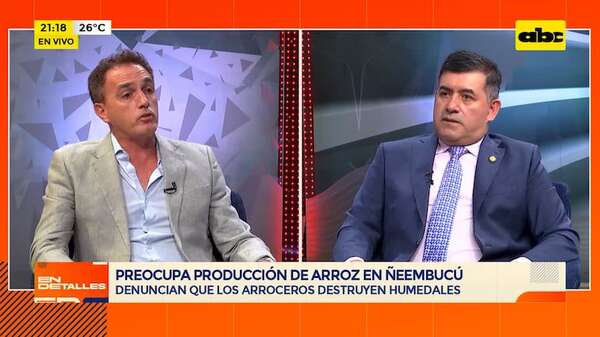 ¿Qué ocurre con la producción de arroz en Ñeembucú?: debate entre diputado y presidente de Feparroz - En Detalles - ABC Color