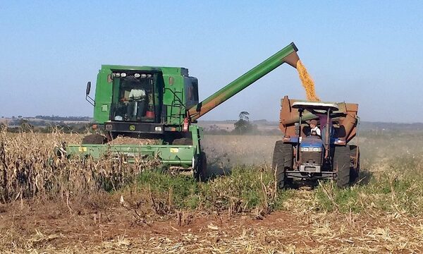 El dilema de la soja en Paraguay: récord en producción pero baja industrialización