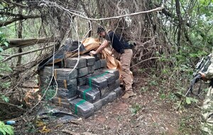 Incautan más de 24 toneladas de marihuana, valuados en unos USD 750.000, en Cerro Corá, Amambay - .::Agencia IP::.