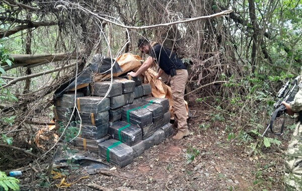 Incautan más de 24 toneladas de marihuana, valuados en unos USD 750.000, en Cerro Corá, Amambay - .::Agencia IP::.