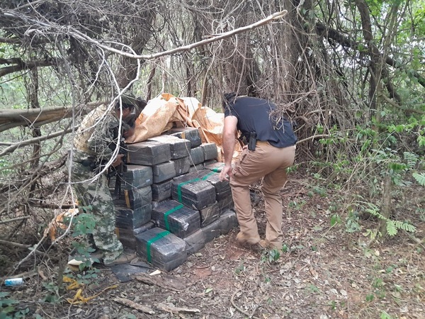 SENAD y FTC incautaron 1 tonelada de Marihuana en San Pedro